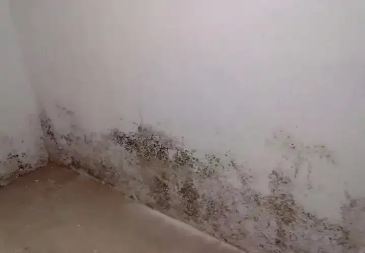 防水≠防滲！80%的人都弄錯(cuò)了！